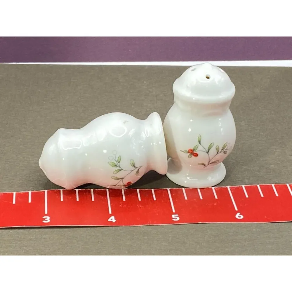 Set of Pfaltzgraff White Porcelain Hand Painted Small Salt & Pepper S&P Shakers